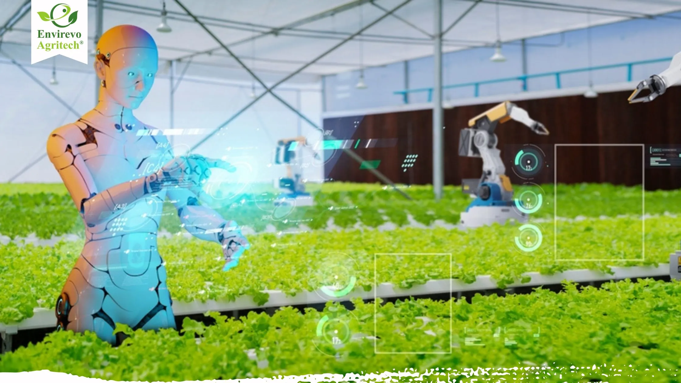 Conclusion - visual representation