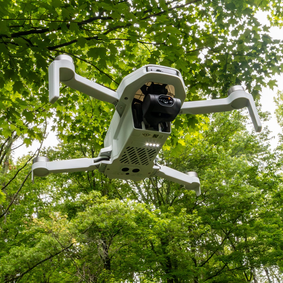 Comparative Analysis: Choosing the Right Camera for Your Needs - visual representation