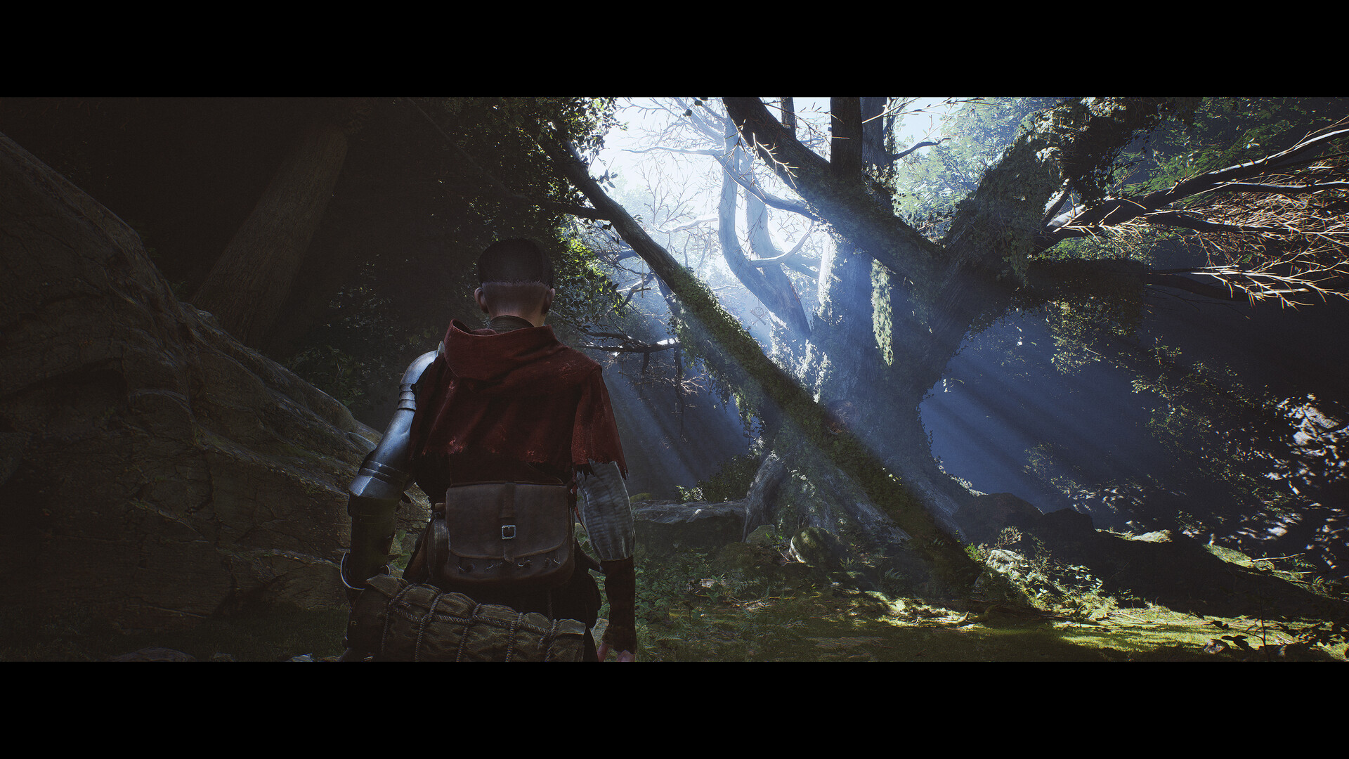 Concerns and Potential Issues - visual representation