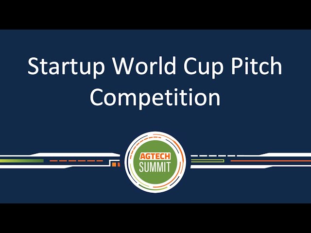 Why These Startups Matter - visual representation