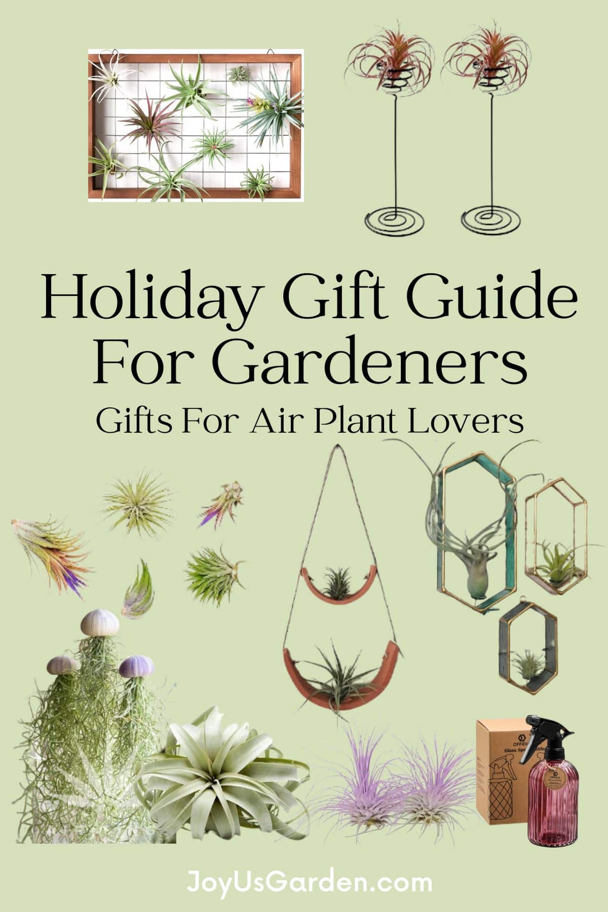 11. Plant Identification Apps - visual representation