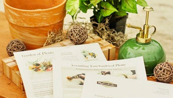 12. Compost Bins - visual representation