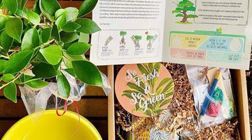 13. Garden Tool Sets - visual representation