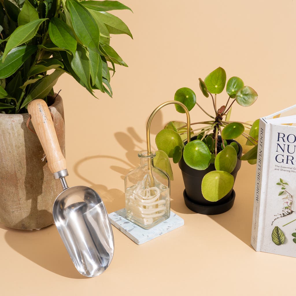 5. Gardening Workshops - visual representation