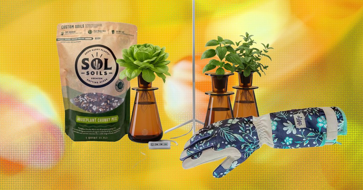 19 Best Gifts for Plant Lovers and Gardeners (2026) | WIRED