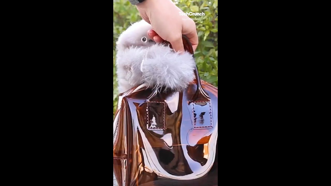 14. Internet Historians Rebuilt Dead Services in Working Emulators - visual representation