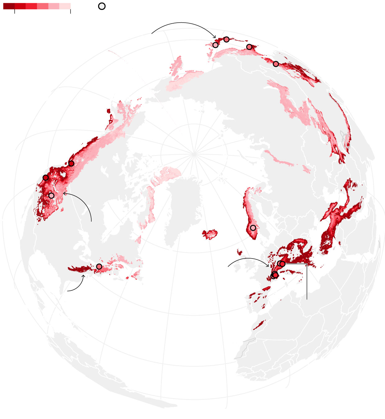 Artificial Snow: Technology and Its Limits - visual representation