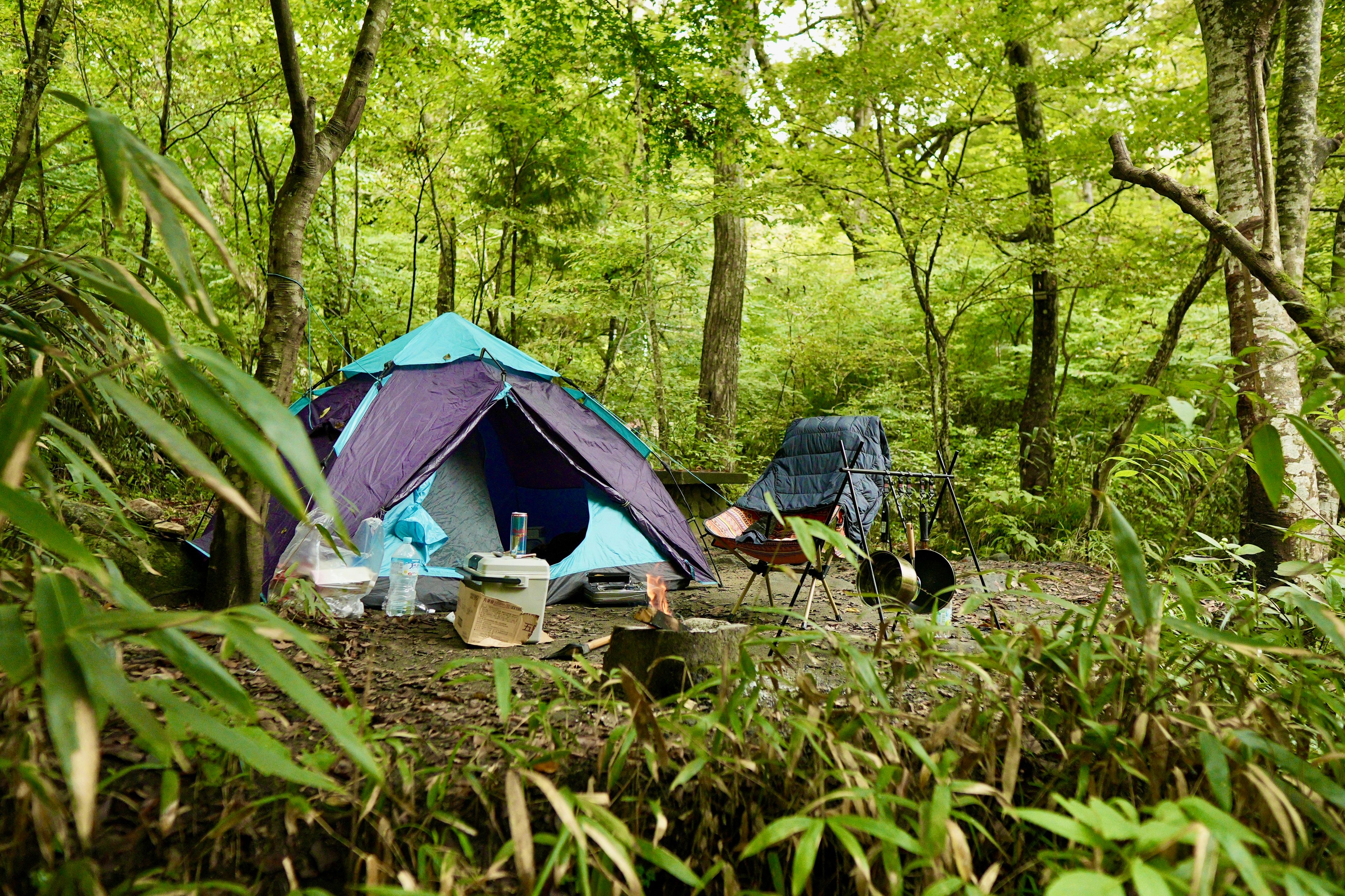 3. Festival Tents: Functional and Fun - visual representation