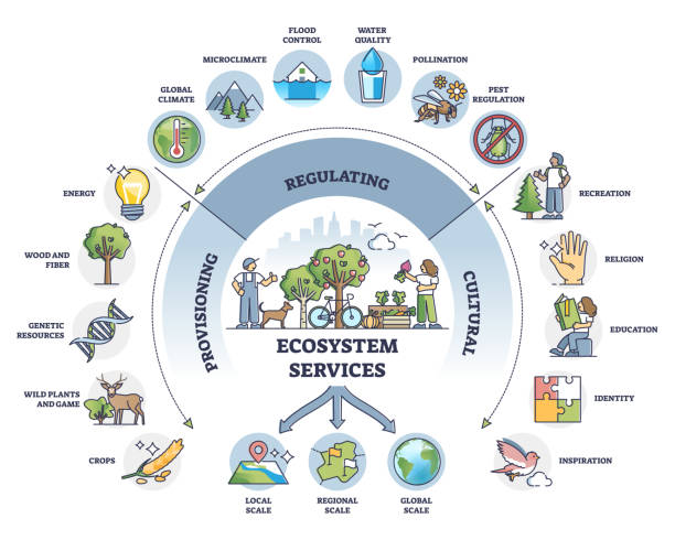 Understanding the Freely Streaming Ecosystem - visual representation