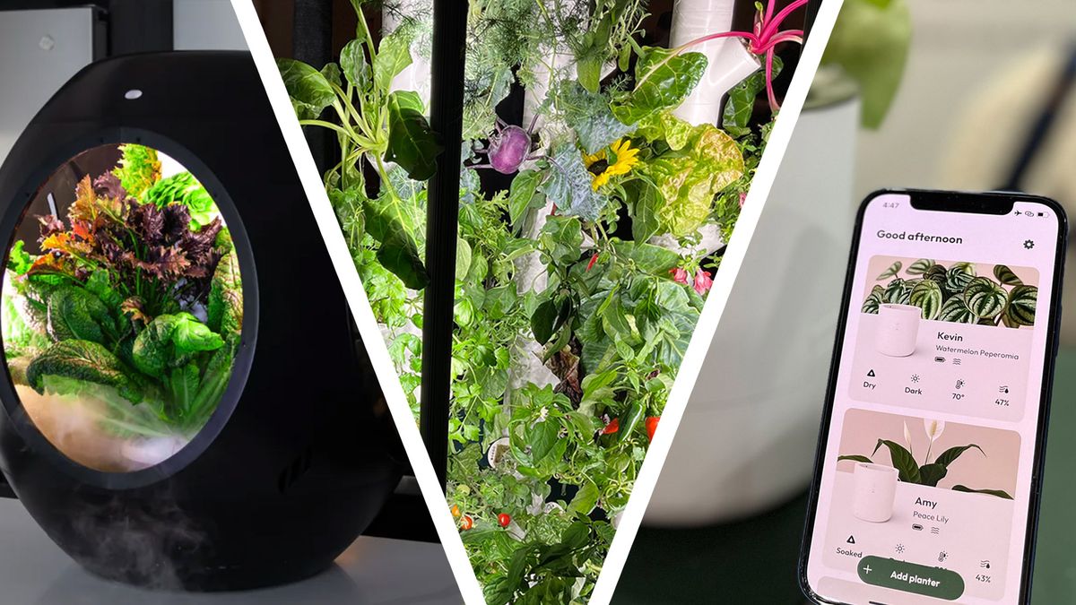 Future Trends in Plant Care - visual representation