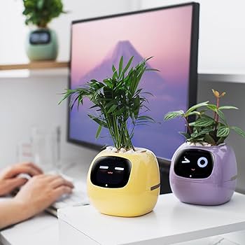 Smart Planters - visual representation