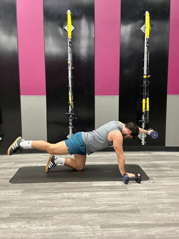 Dumbbell Ab Wheel Rollouts: Advanced Core Stability - visual representation