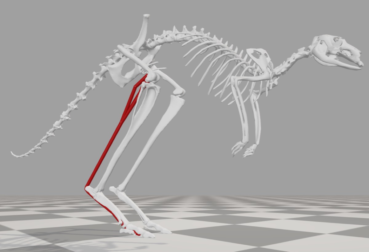 FAQ - visual representation