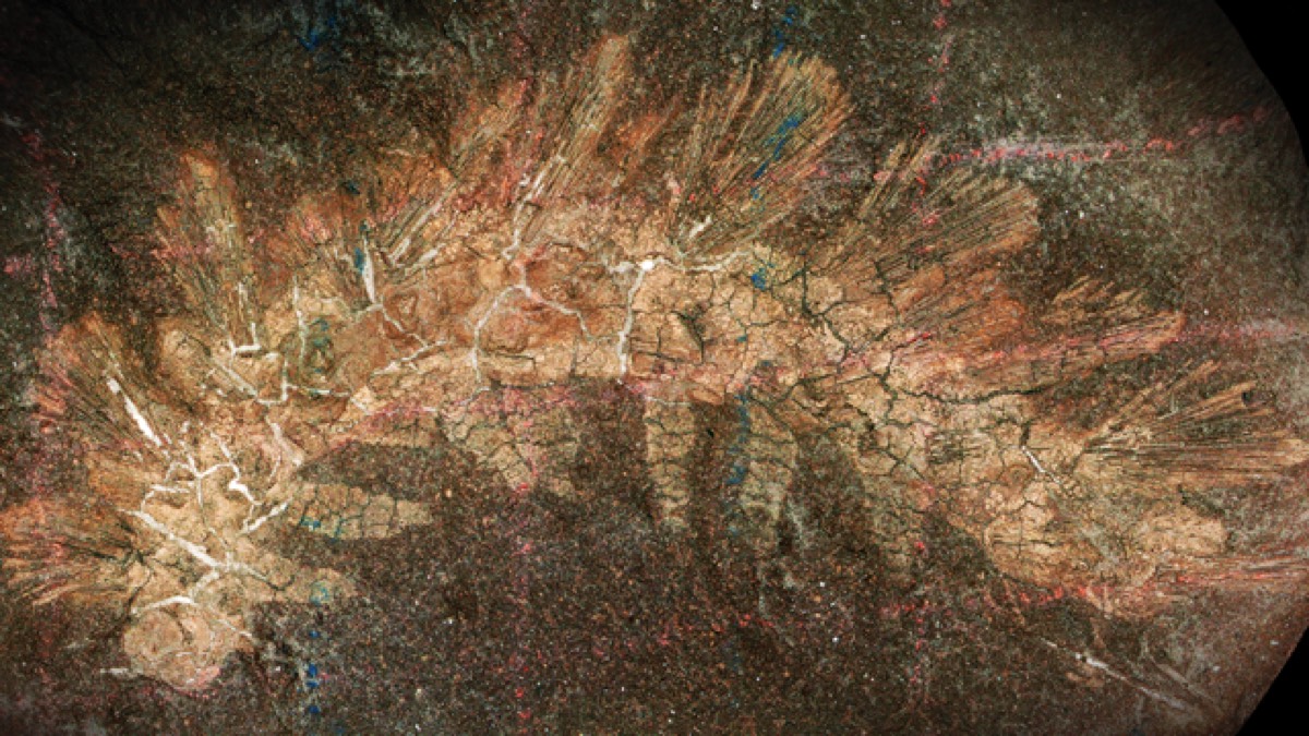 Conclusion - visual representation