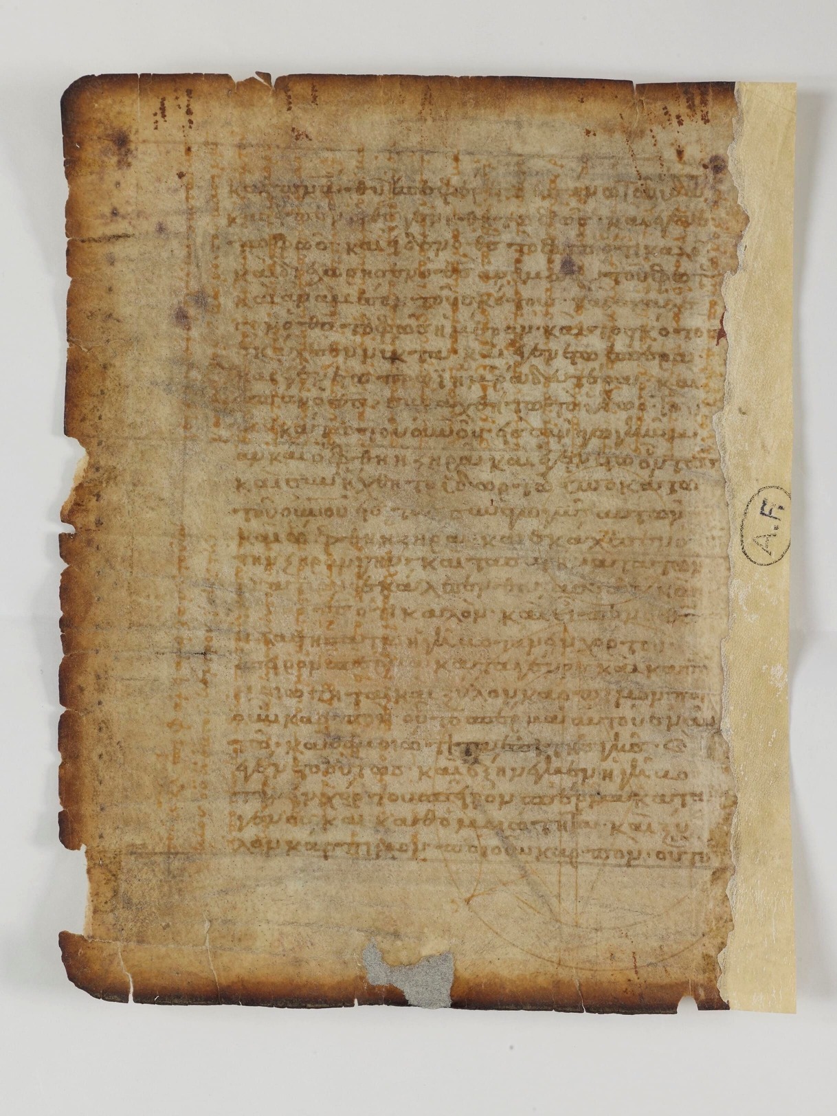 2. The Physics of Folding a Crepe - visual representation