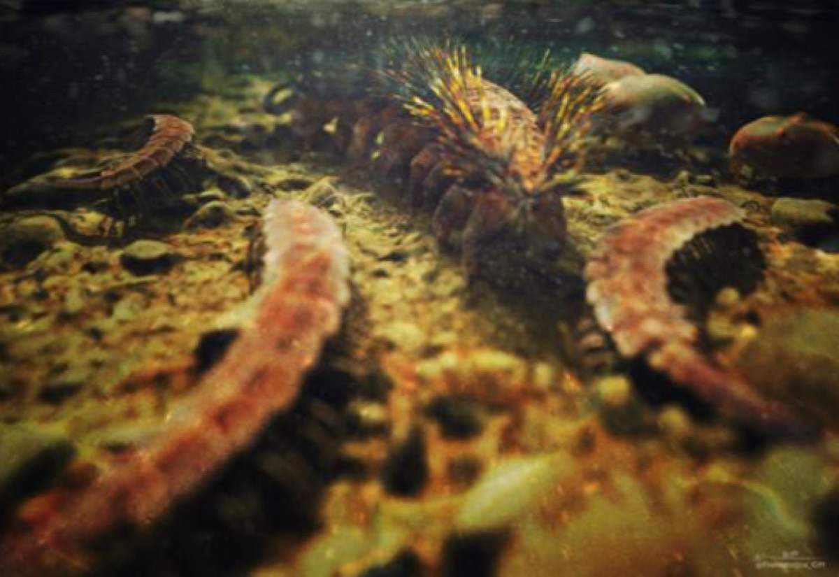 3. Rediscovery of a Lost Archimedes Manuscript - visual representation