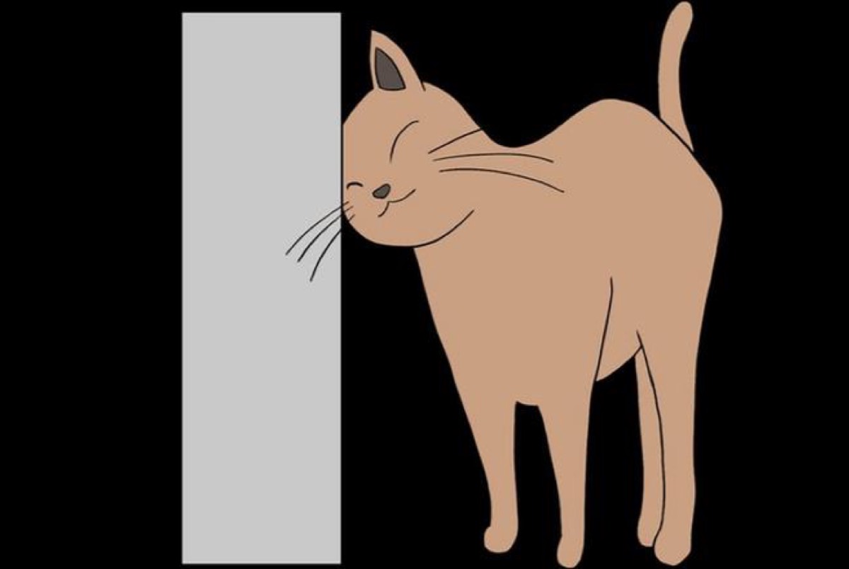 4. Dance Your Ph D Winner 2026 - visual representation