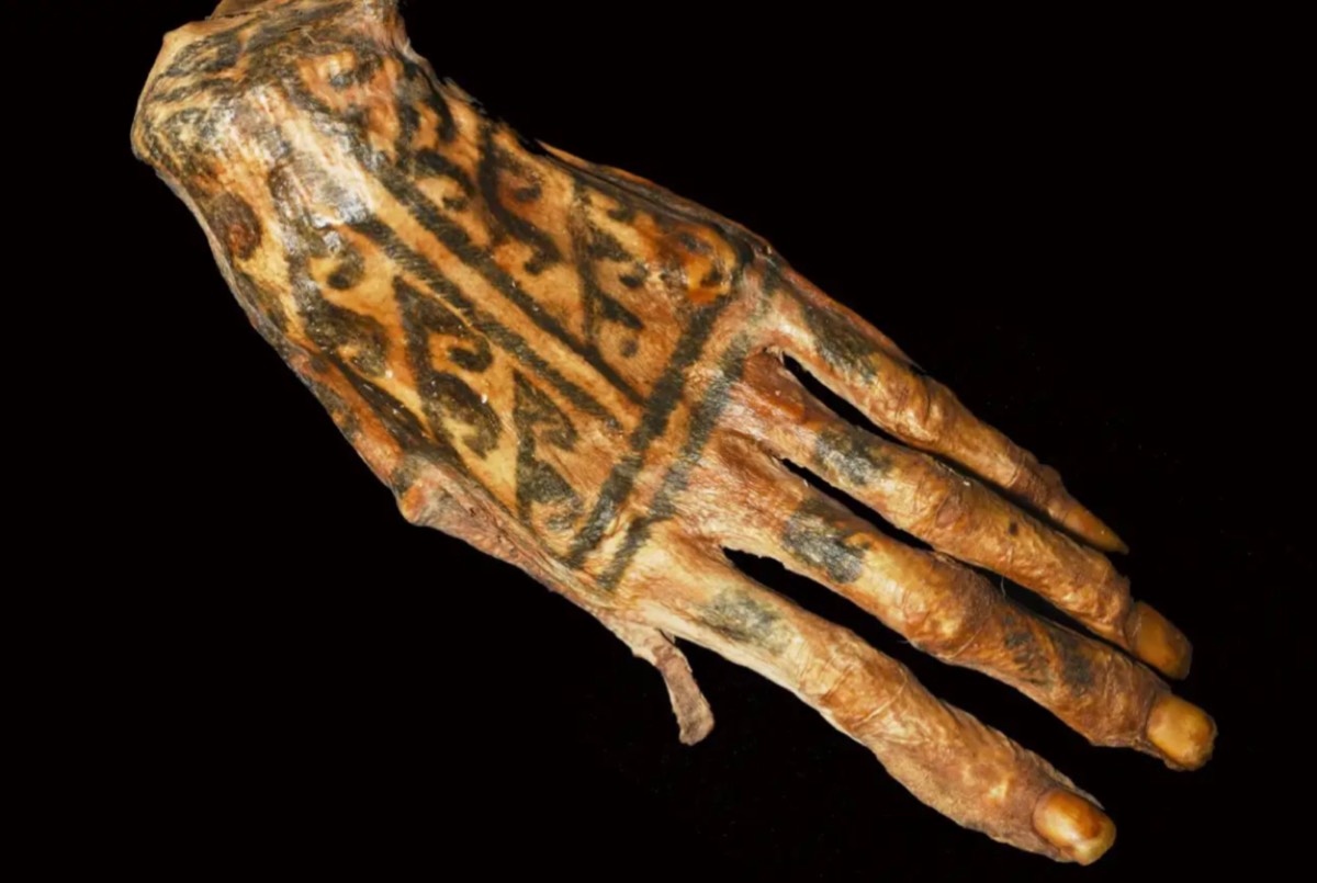 5. Sperm Behavior in Microgravity - visual representation