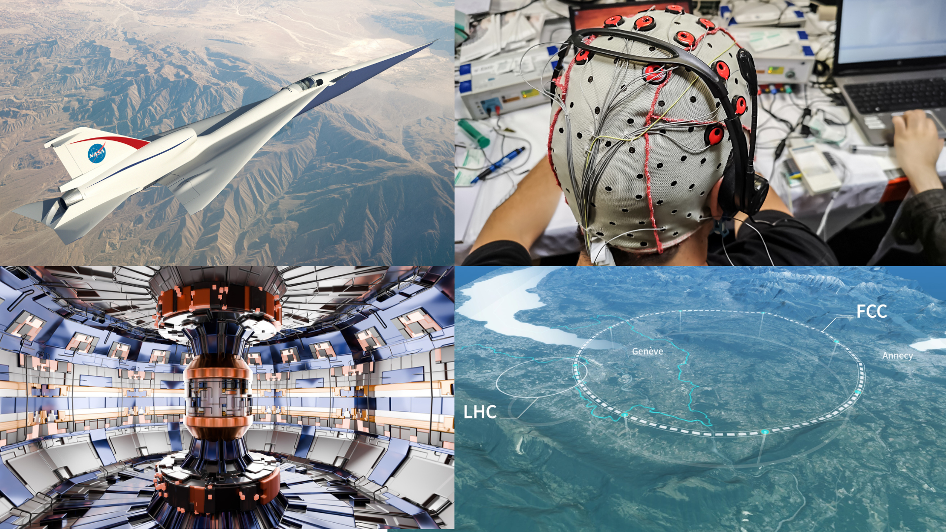 Paleontology's Window into Prehistoric Suffering: What Fossils Reveal About Death - visual representation