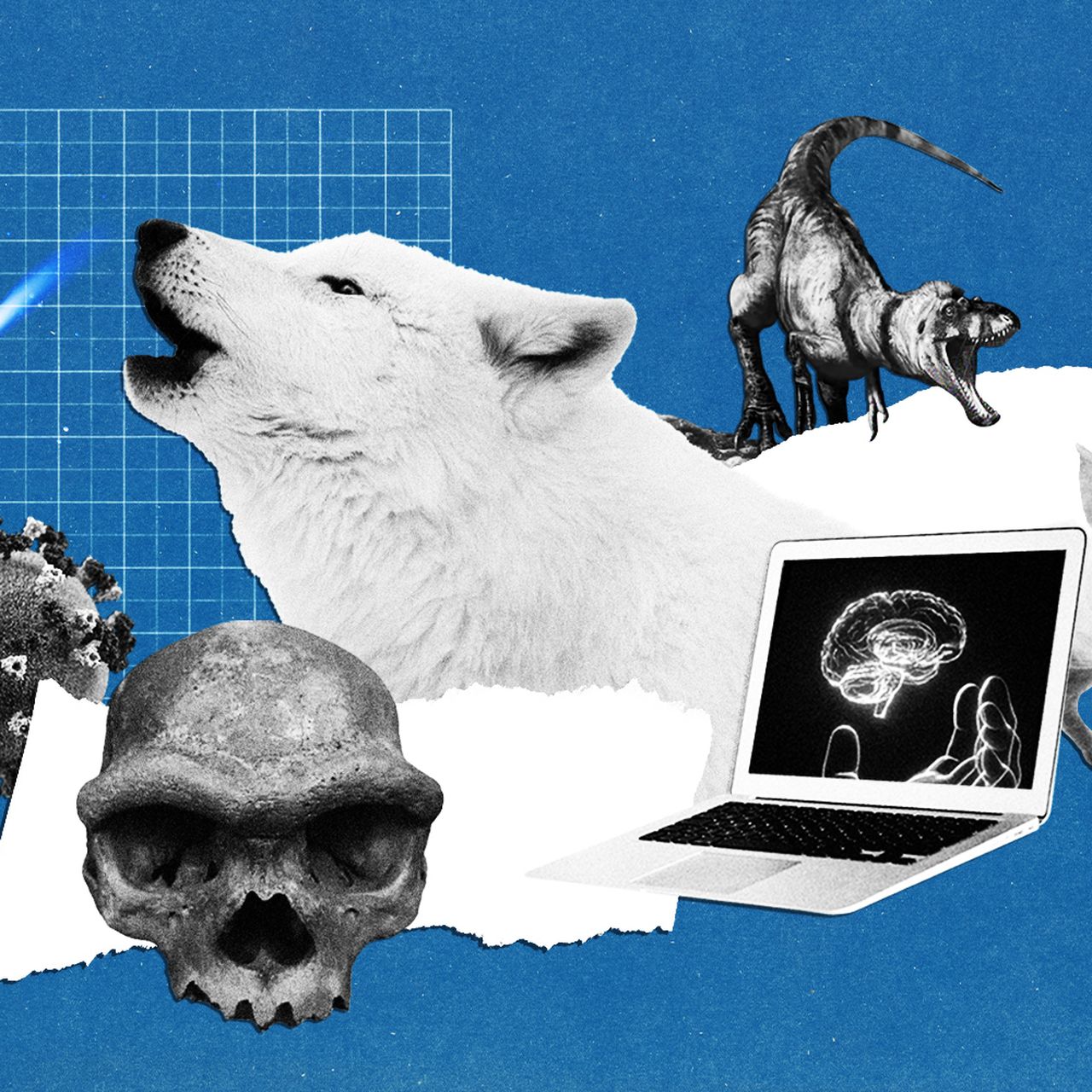 Roman Burials in Liquid Gypsum: Preserving Bodies Through Chemistry - visual representation