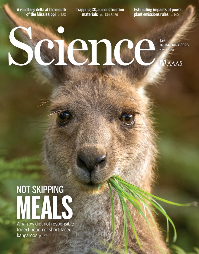 Gypsum as a Preservation Medium: Ancient Chemistry Rediscovered - visual representation