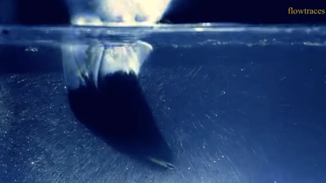 Ancient Seafaring and Chemical Preservation: The Bronze Age Connection - visual representation