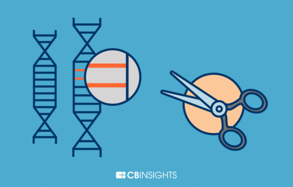 How Runable Accelerates Biotech Workflows - visual representation