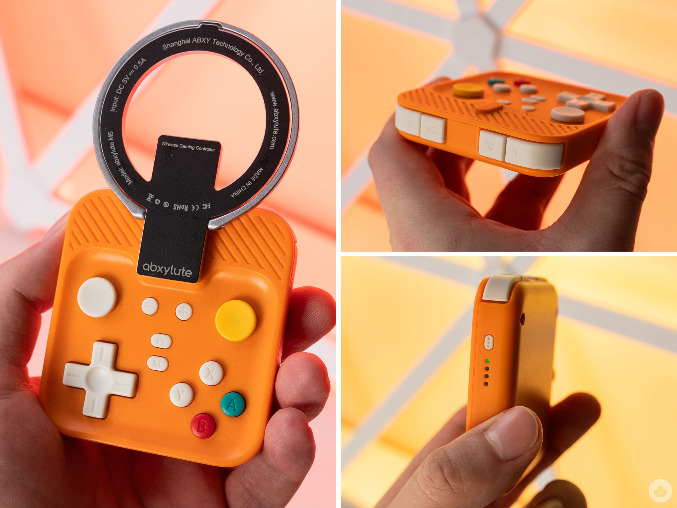 The Financial Risk: Protecting an Expensive Investment - visual representation