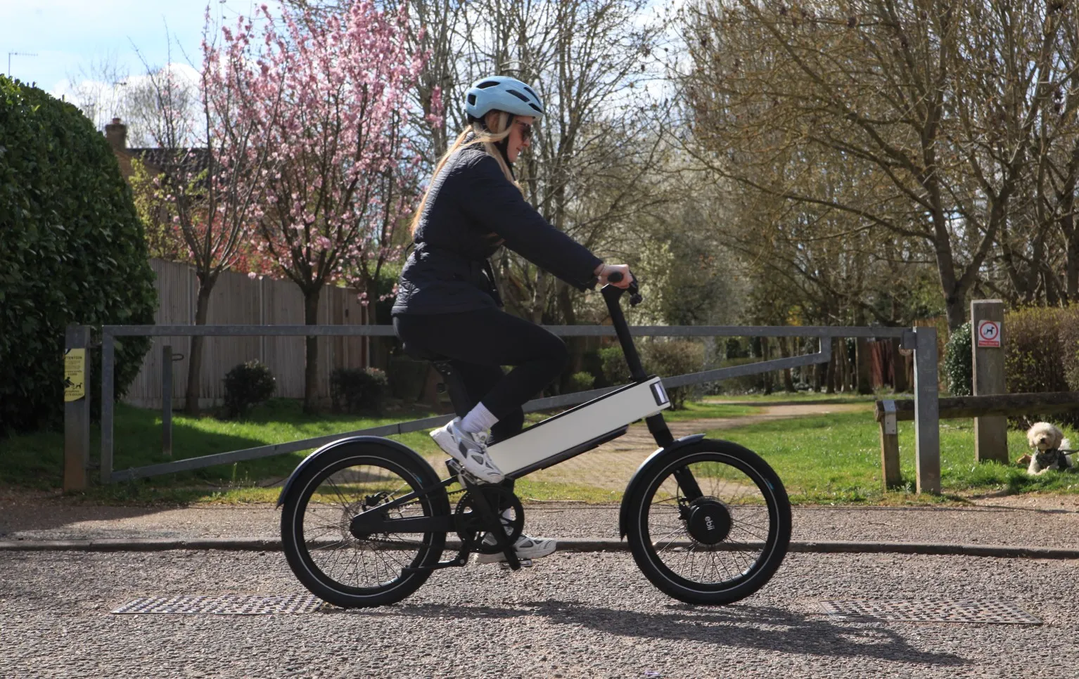 Key Industry Insights and Future Outlook - visual representation