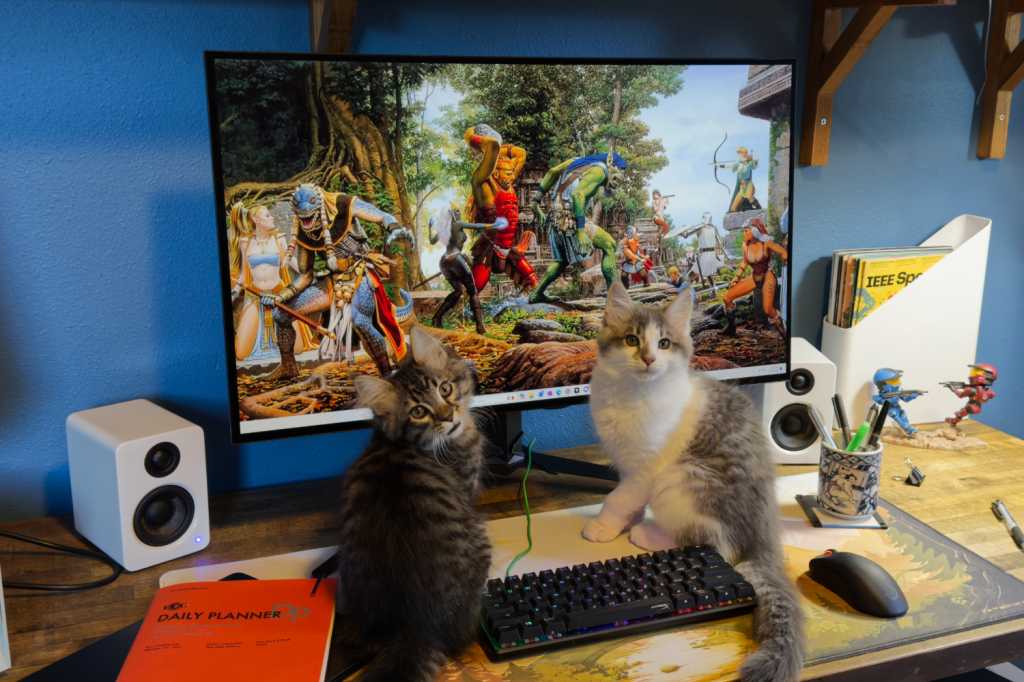 Final Thoughts: The Gaming Monitor Revolution - visual representation