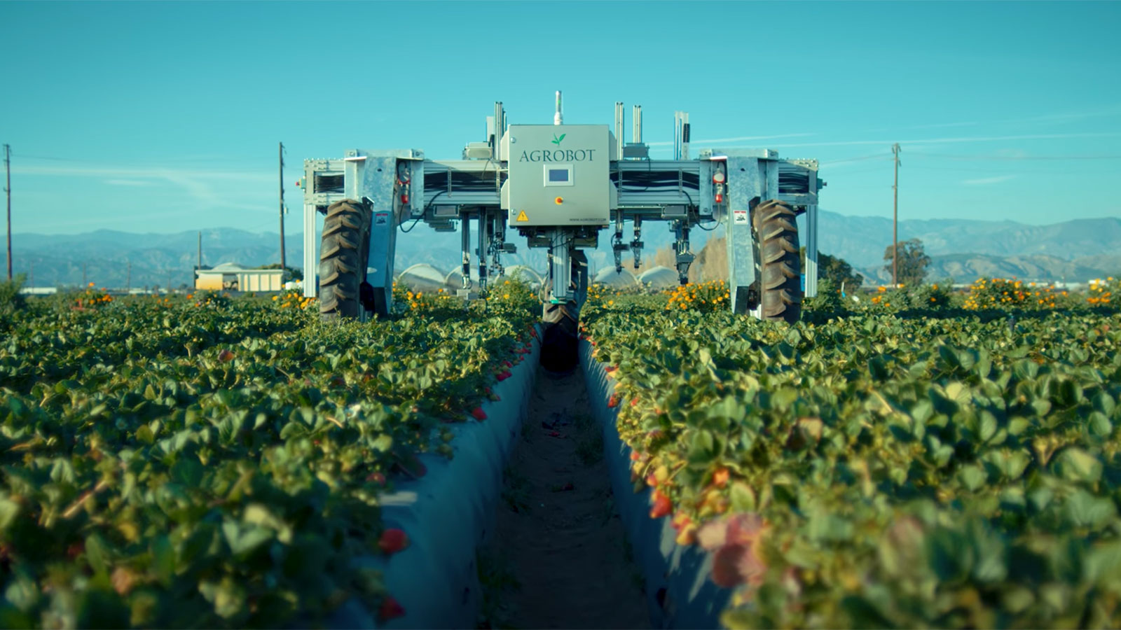 Conclusion: The Inevitable Transition to Precision Agriculture - visual representation