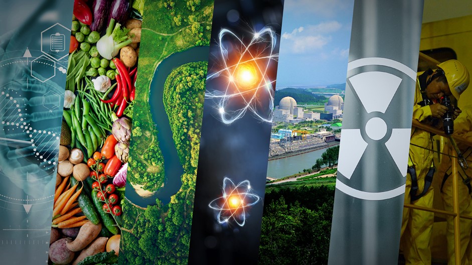 The Real Question: What Happens If We Don't Do This? - visual representation