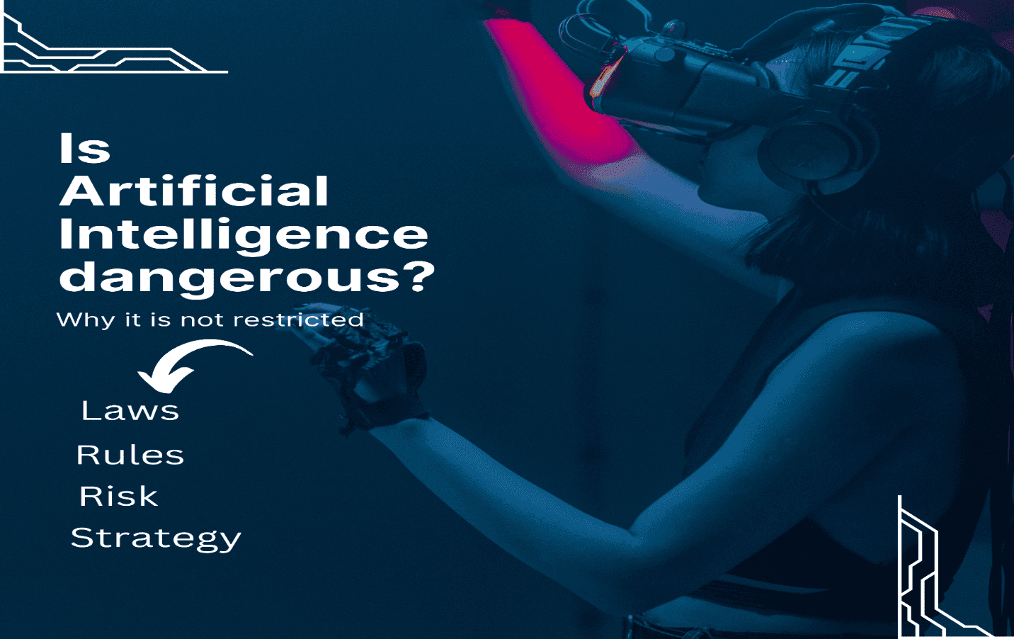 Expert Responses and Industry Concerns - visual representation