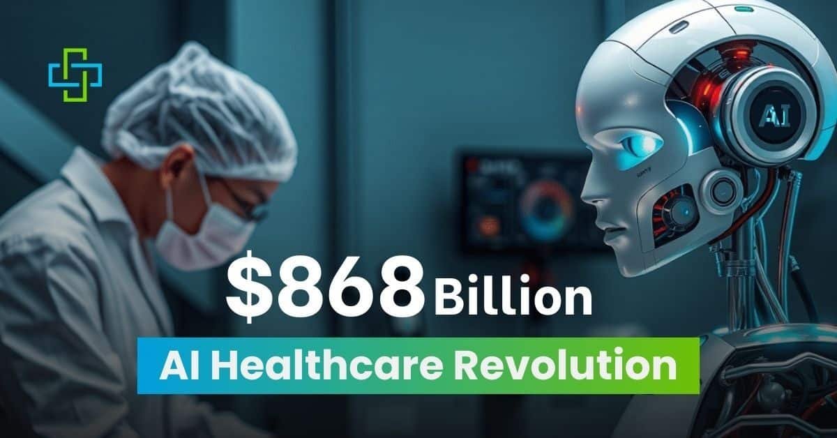 The Business Models: Who Pays and How Much - visual representation