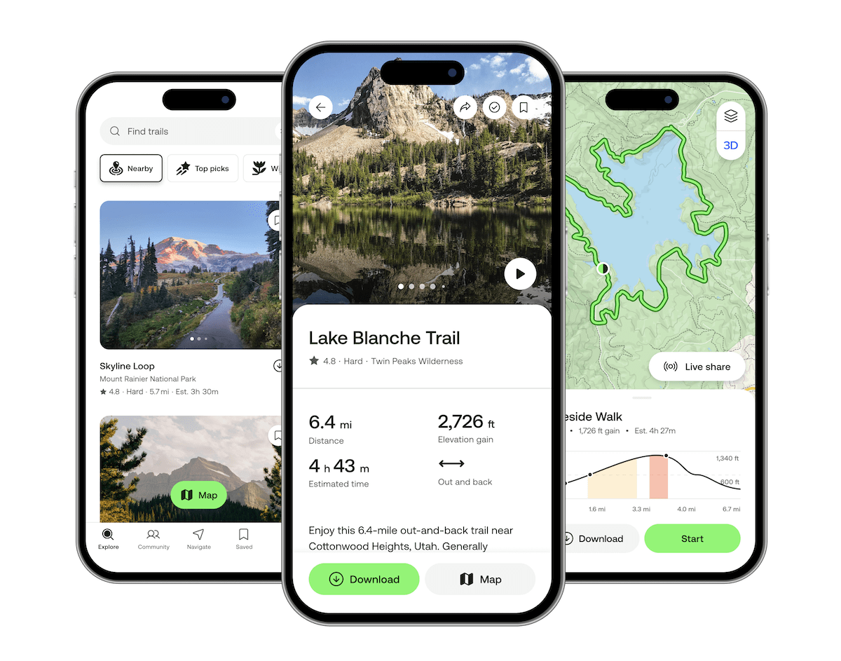 Photography and Documentation: Contributing to the Community - visual representation