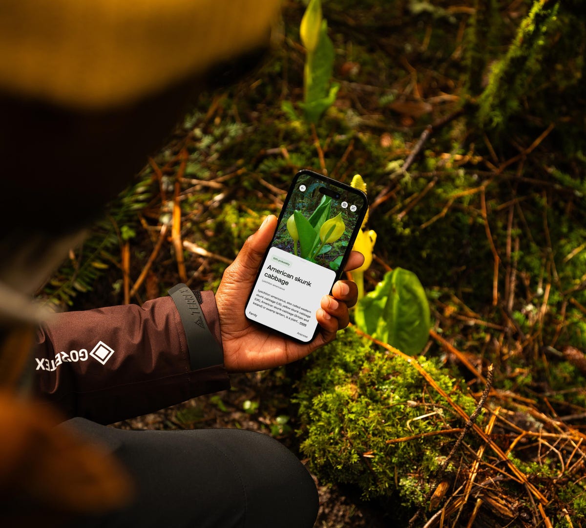 Technical Considerations: Performance, Reliability, and Limitations - visual representation