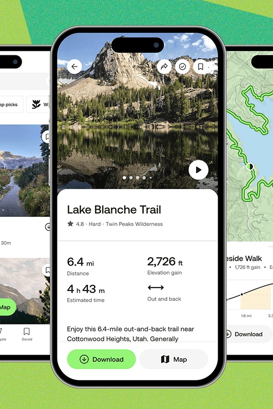 Comparing All Trails to Competitors: Understanding Your Options - visual representation