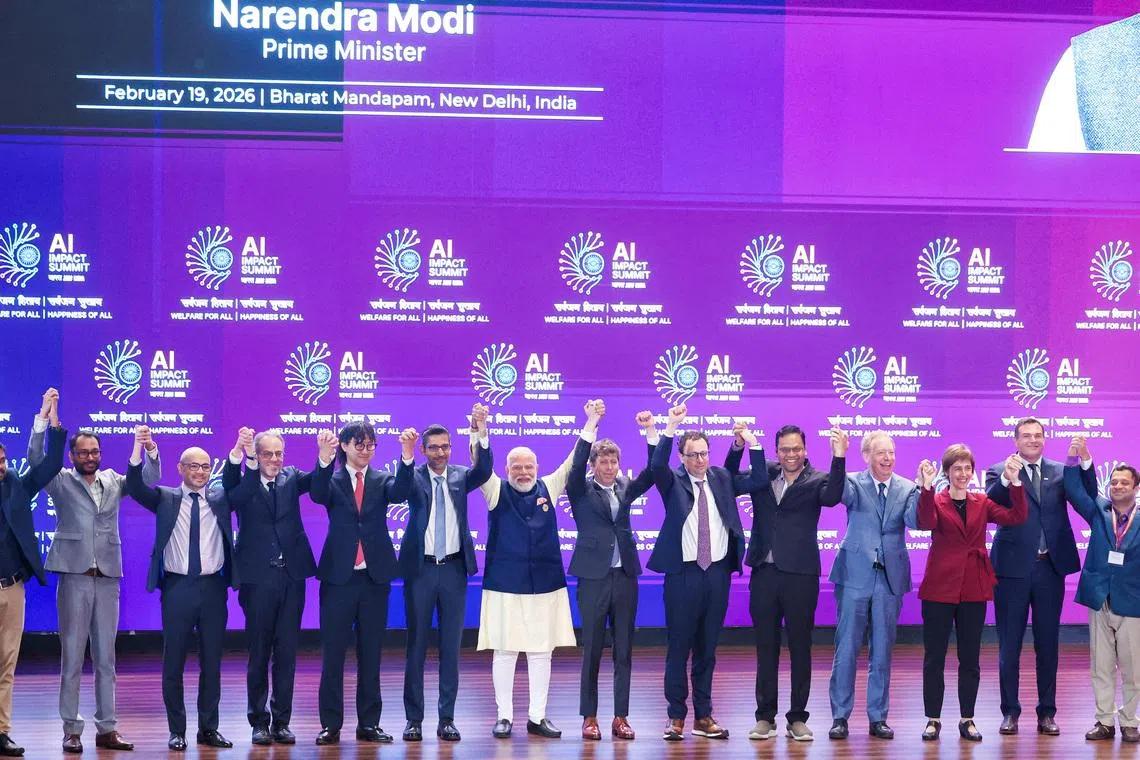 The India Summit as a Microcosm - visual representation