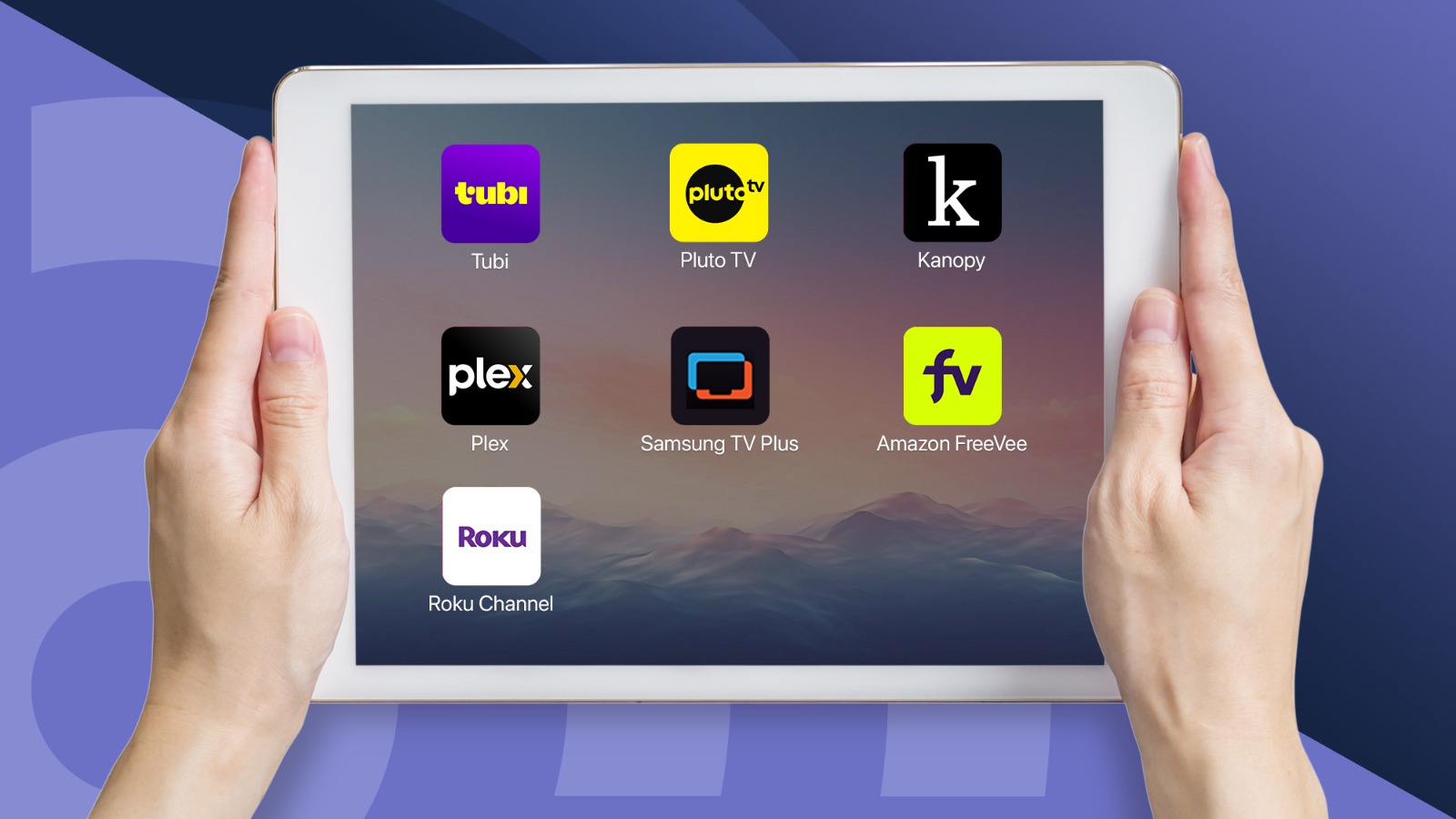 Roku's Ecosystem: More Than Just Streaming - visual representation