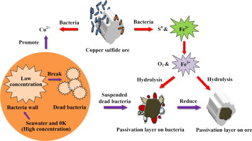 Amazon's Specific Deal: What We Know and What It Signals - visual representation