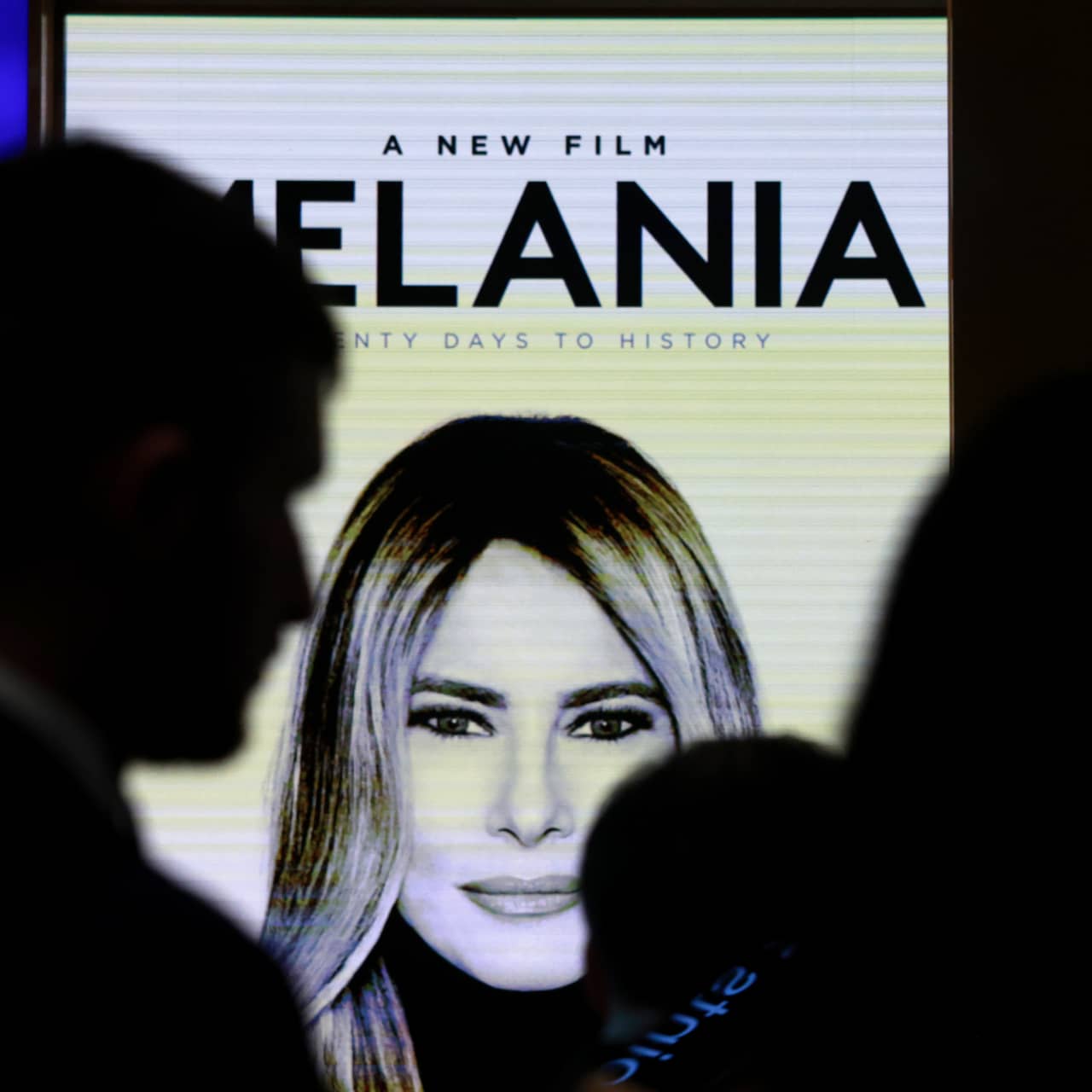 The Political Elephant in the Room - visual representation