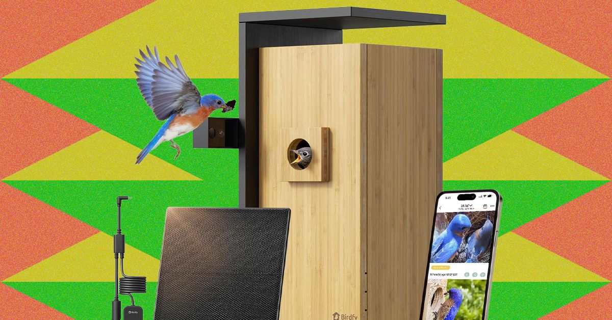 Amazon’s Spring Sale Is Blooming With Smart Bird Feeders | WIRED