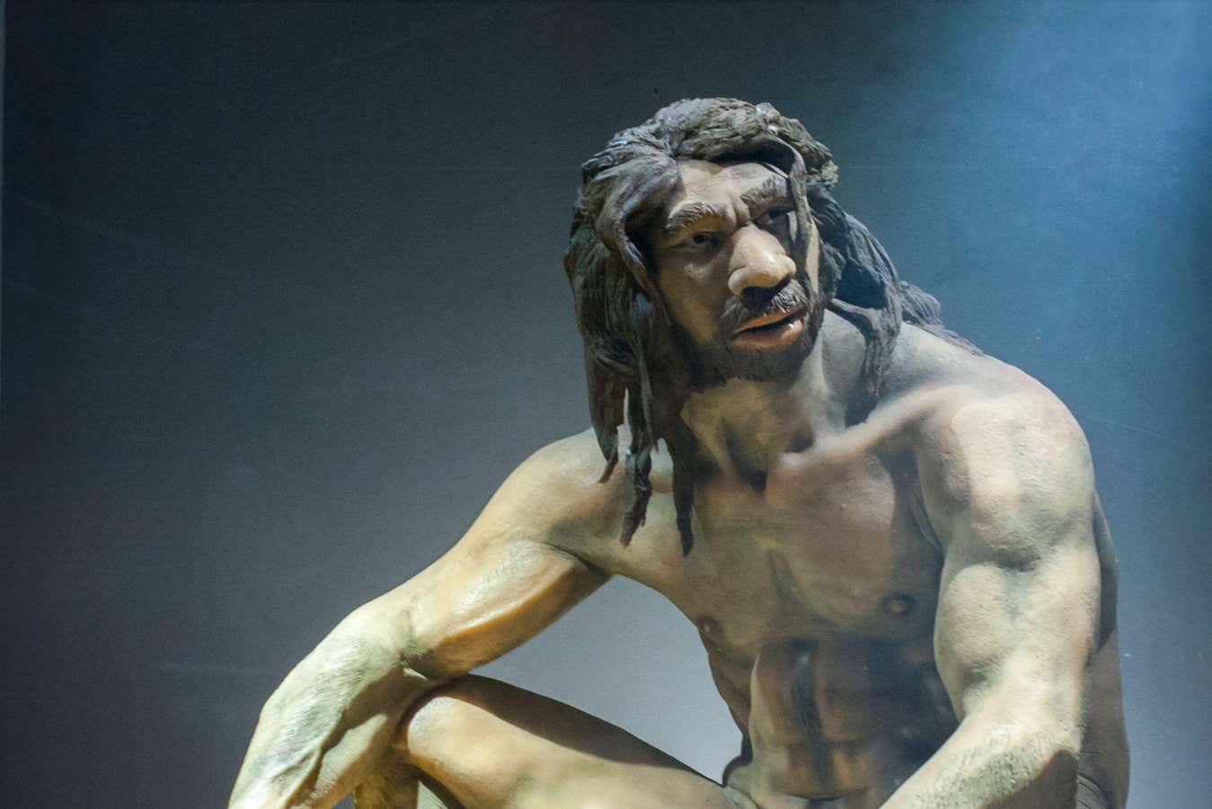 Fossil Gaps and What They Mean - visual representation