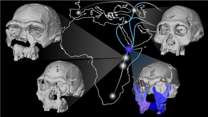 The Denisovan Question: A Hypothesis Challenged - visual representation