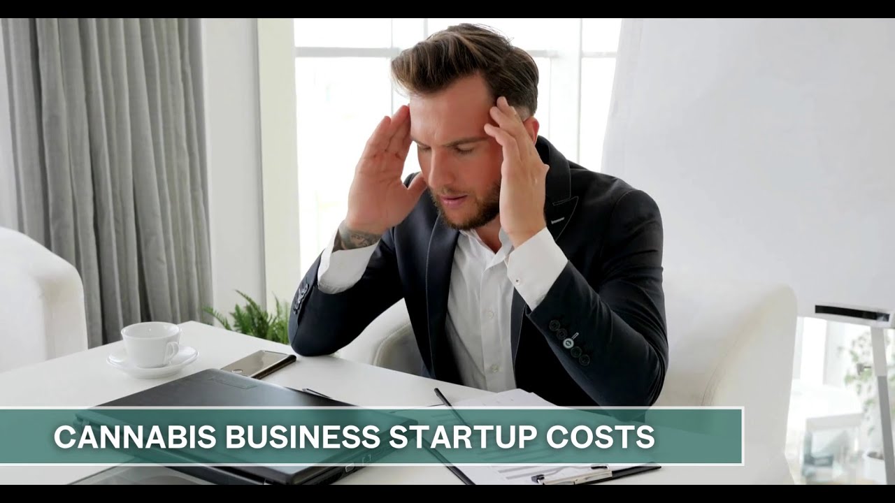 The Broader Startup Ecosystem Implications - visual representation