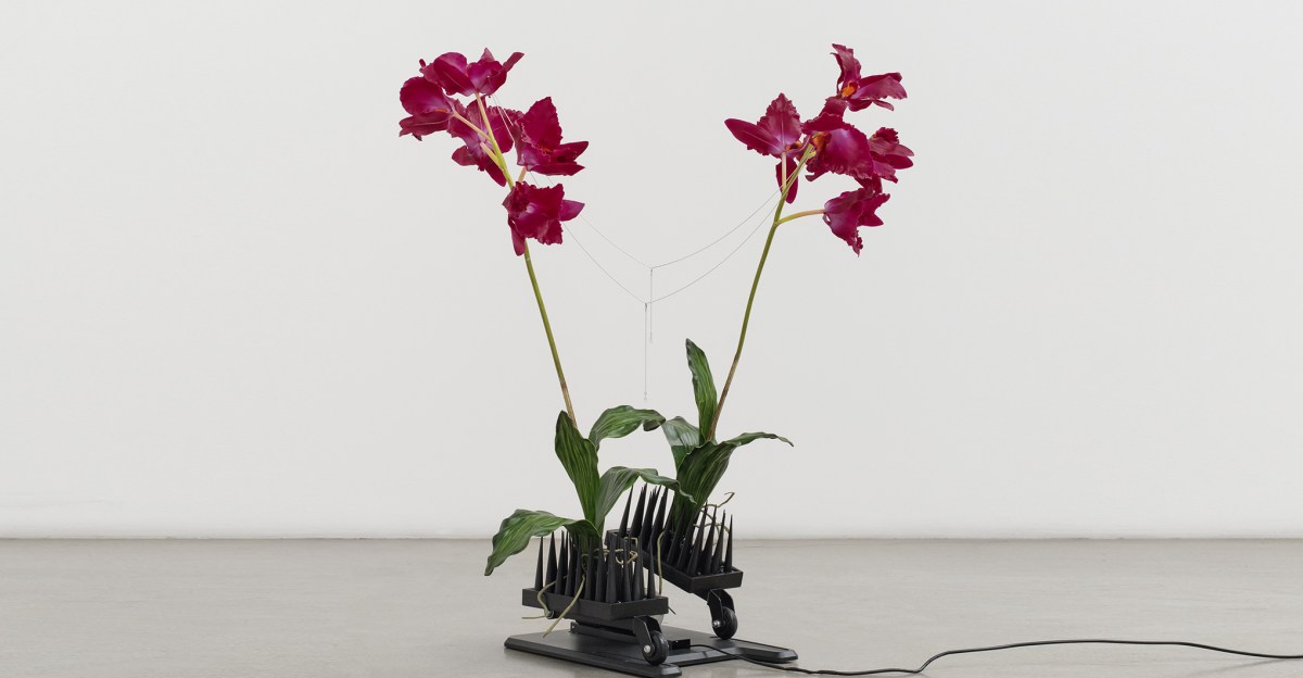 Anthropomorphic sculptures made of fake flowers and neck massagers | The Verge