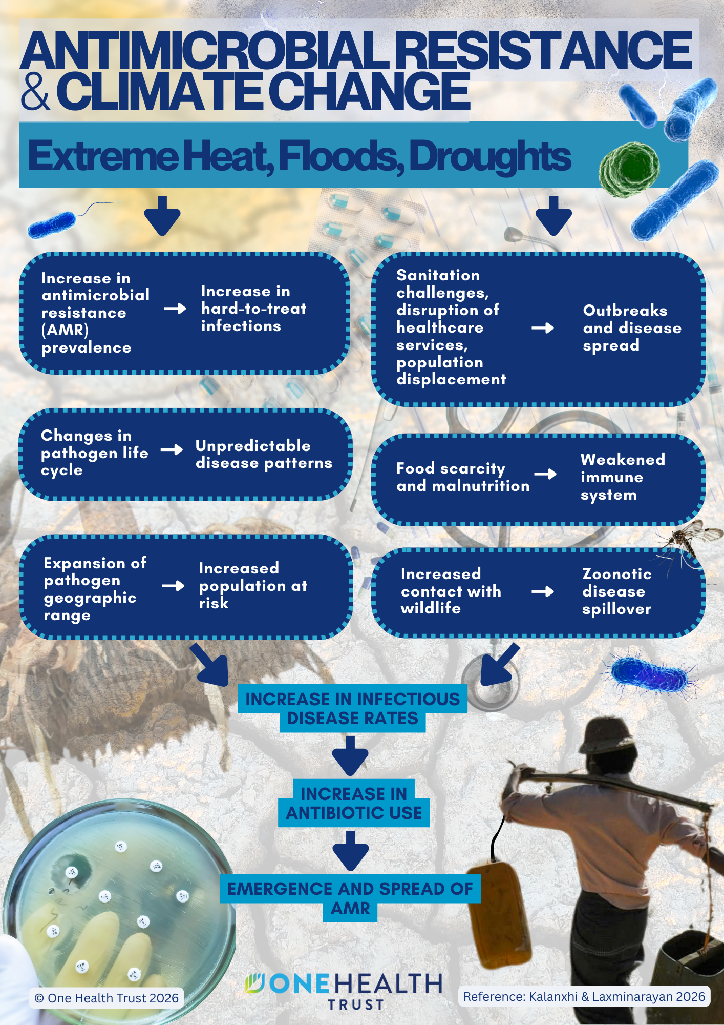 Strategies to Combat Antibiotic Resistance in Drought Conditions - visual representation