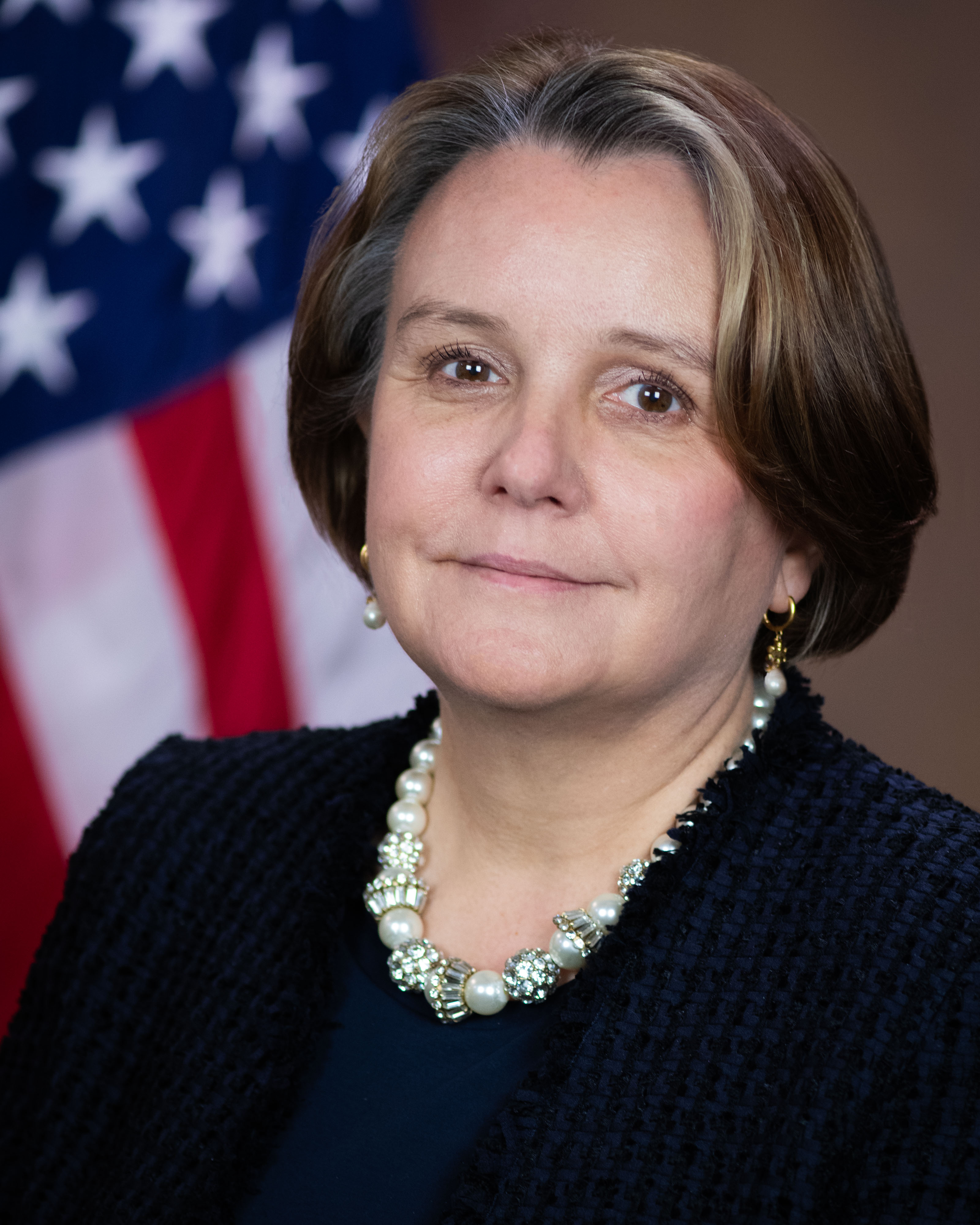 The Role of Intelligence and Security Arguments - visual representation