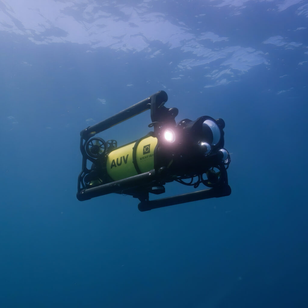 Challenges, Risks, and Practical Limitations - visual representation