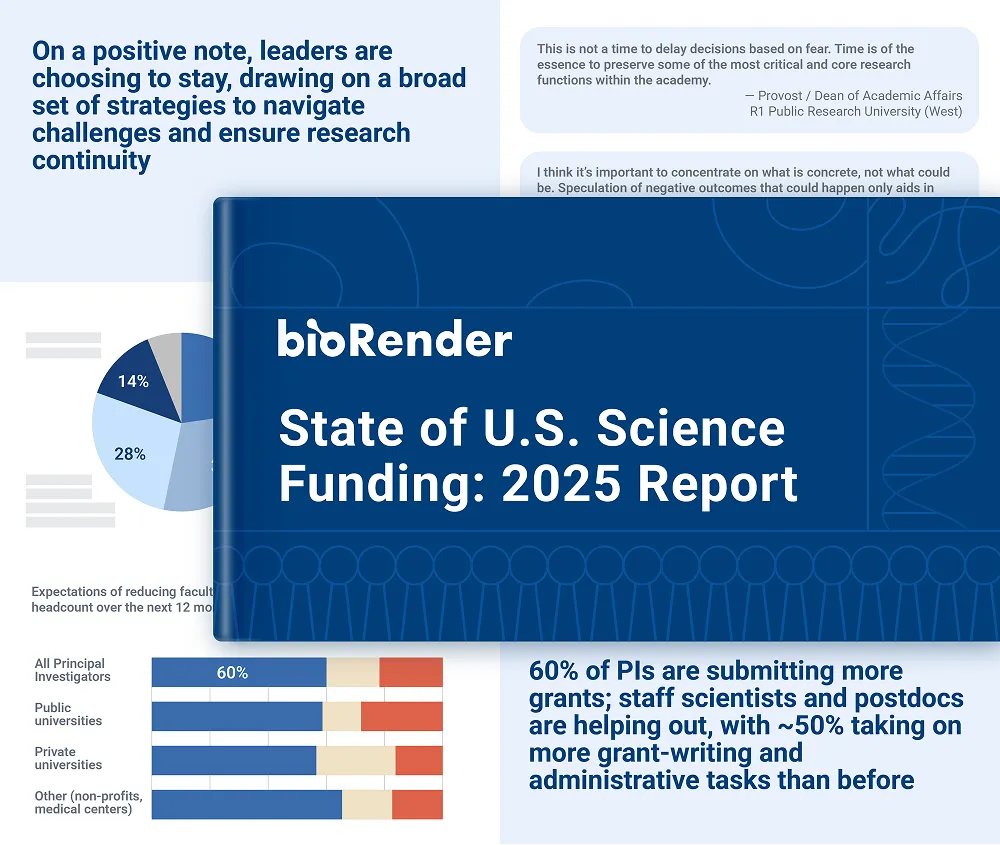 TL; DR - visual representation